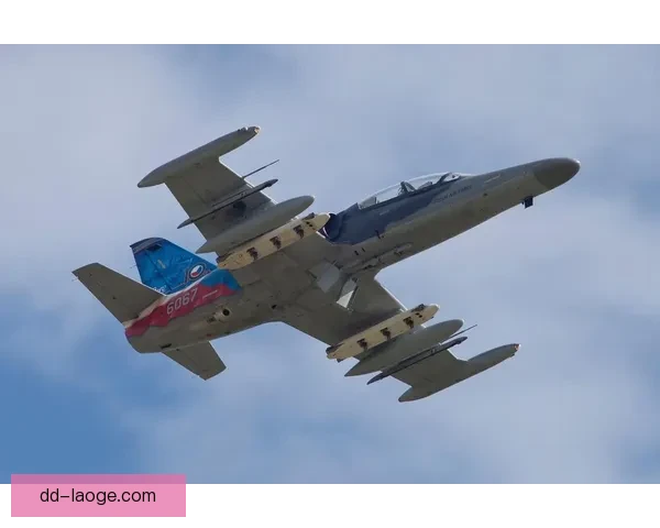 穆涅高空轰炸依旧强悍展现空中打击卓越能力 穆涅高空轰炸依旧强悍展现空中打击卓越能力