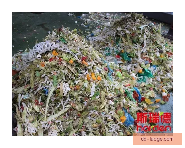 2026世界杯启用先进生物降解技术全面处理看台垃圾